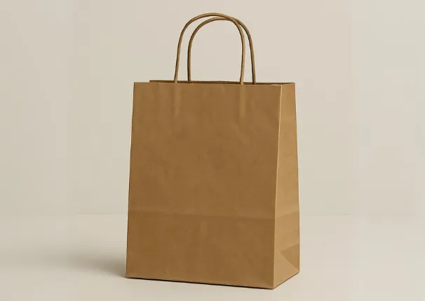 Kraft paper carry bag